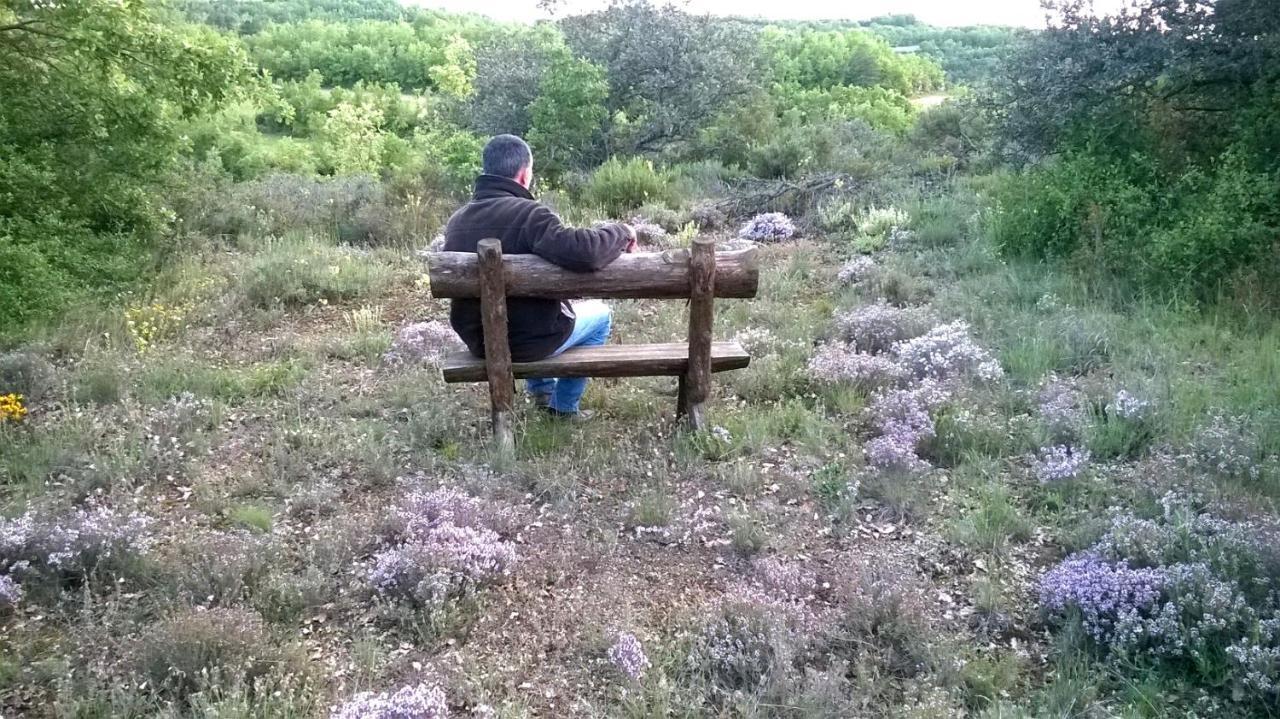 Masia Rovira Pinell de Solsones Kültér fotó